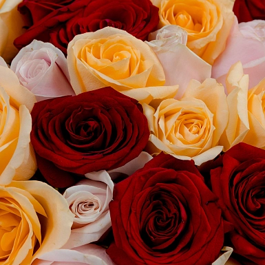 Букет из 51 яркой микс розы 50 см "Тянь-Шань" - фото 5