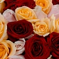 Букет из 51 яркой микс розы 50 см "Тянь-Шань" - фото 5