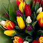 Букет из 35 тюльпанов яркий микс - фото 5