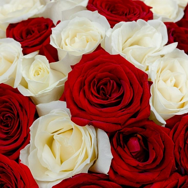 Букет из 51 красно-белой розы 50 см "Тянь-Шань" - фото 5