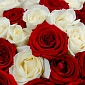 Букет из 51 красно-белой розы 50 см "Тянь-Шань" - фото 5