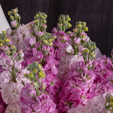 Букет из 15 маттиол в оформлении - фото 6