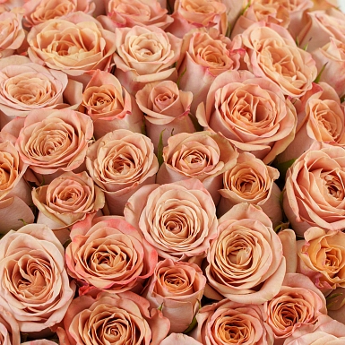 Коробка из 101 капучино роз "Тянь-Шань" - фото 3