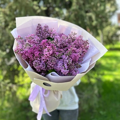 15 веток ароматной сирени - фото 2