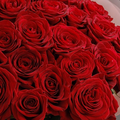 Букет из 25 красных роз 70 см "Тянь-Шань" S  - фото 5