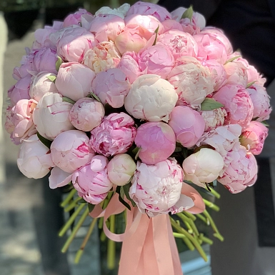 Букет из 51 розового пиона  - фото 3