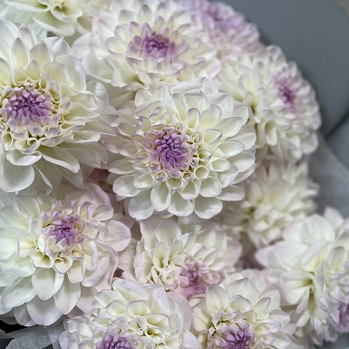 15 белых георгинов в оформлении - фото 5