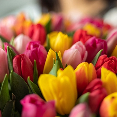 Букет из 201 разноцветного тюльпана "Меруерт" - фото 5