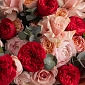 Букет из пионовидных роз "Аромат любви" - фото 6