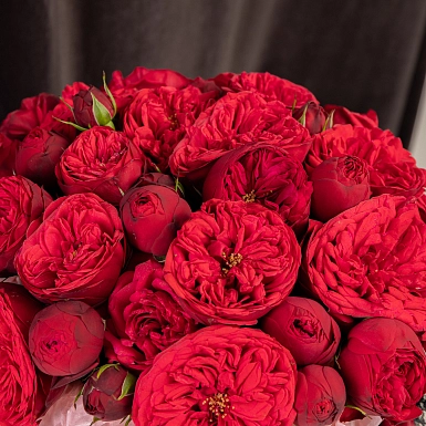 Коробка из 15 красных пионовидных роз David Austin - фото 5