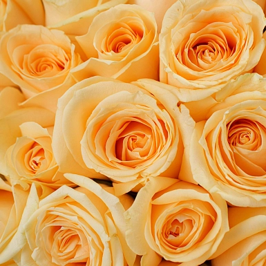 Букет из 101 кремовой розы 50 см "Тянь-Шань" - фото 5