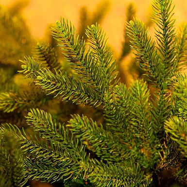 Ёлка зеленая "Prime" 180 см - фото 4