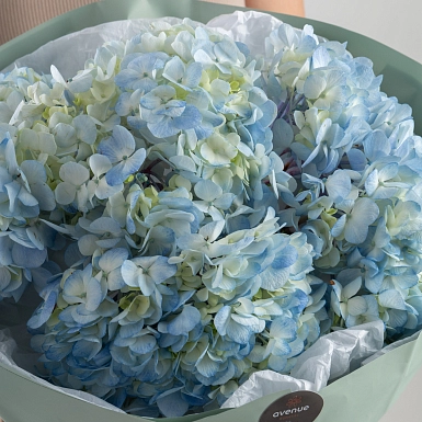 Букет из 5 голубых гортензий фото