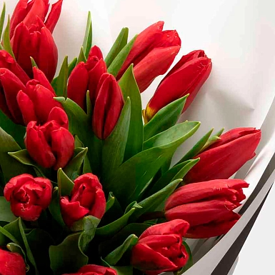 Мини букет из 15 красных тюльпанов - фото 5