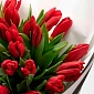 Мини букет из 15 красных тюльпанов - фото 5