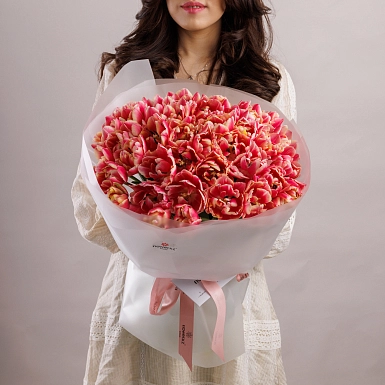 Букет из 51 красно-белого пионовидного тюльпана - фото 1