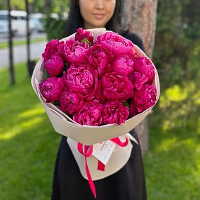 15 малиновых местных пионов в оформлении