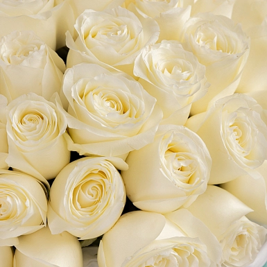 Коробка из 55 белых Голландских роз - фото 6