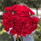35 красных гвоздик - фото 3