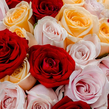 Букет из 51 ярких микс роз 70 см "Тянь-Шань" S - фото 5