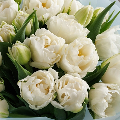 Букет из 25 белых пионовидных тюльпанов - фото 4