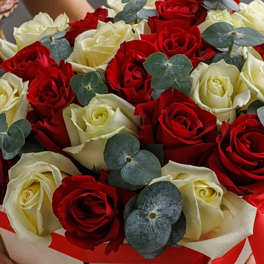 Композиция из 25 красно-белых роз с зеленью в коробке сердце - фото 5