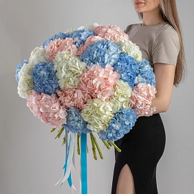 Букет из 35 разноцветных гортензий фото