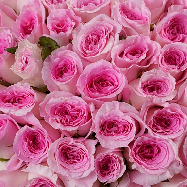 Коробка из 101 розовой розы "Тянь-Шань" - фото 5