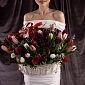 Корзинка из 55 микс тюльпанов с зеленью - фото 2