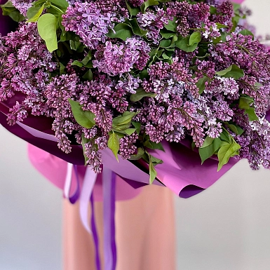 55 веток ароматной сирени - фото 3
