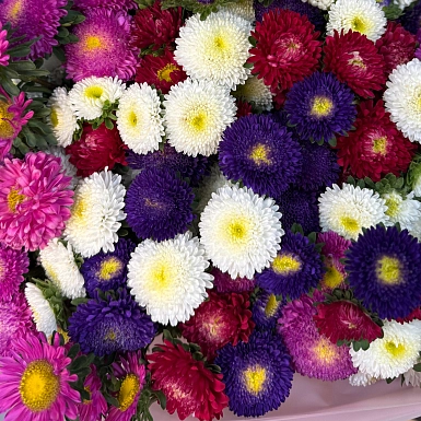 Охапка из 9 пышных микс астр - фото 5