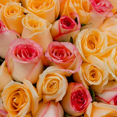 Букет из 101 кремовой и розовой розы 50 см "Тянь-Шань" - фото 5