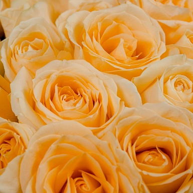 Букет из 25 кремовых роз 70 см "Тянь-Шань" - фото 5