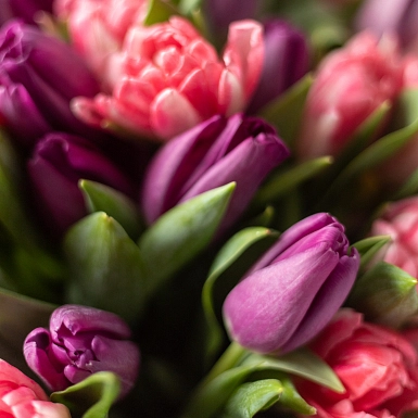Букет из розовых и фиолетовых тюльпанов "Искушение" S - фото 5