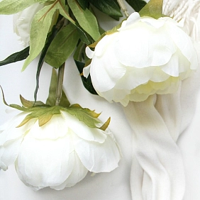 Купить пионы в Алматы