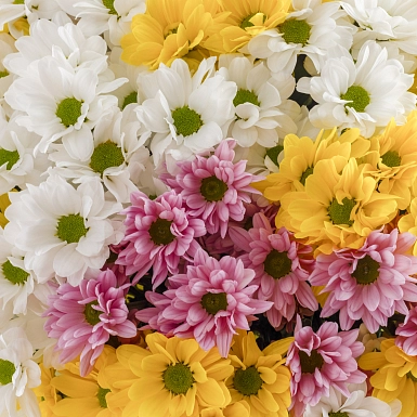 Букет из разноцветных кустовых хризантем S - фото 5
