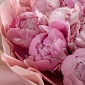 Букет из 15 пионов “Клубничный десерт” - фото 6