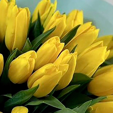 Букет из 25 желтых тюльпанов в оформлении - фото 5