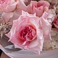 Букет из пионов и пионовидных роз "Ароматный" - фото 5