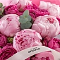 Букет с пионами "Пон-пон" - фото 5