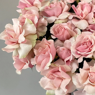 25 розовых сортовых Голландских роз в коробке - фото 5