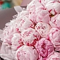 Букет из 51 розового пиона "Для нее" - фото 6