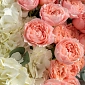 Букет с гортензиями "Персиковое небо" фото