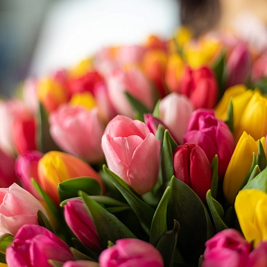 Букет из 201 разноцветного тюльпана "Меруерт" - фото 6