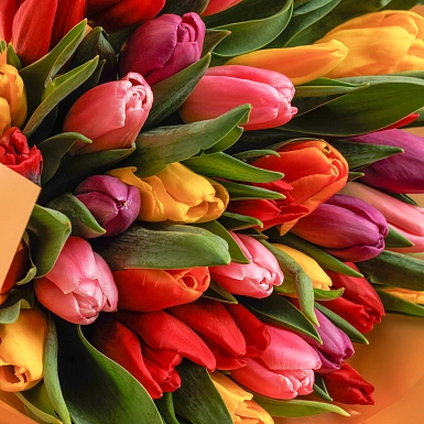 Сет из трех букетов "Яркий микс тюльпанов" - фото 5