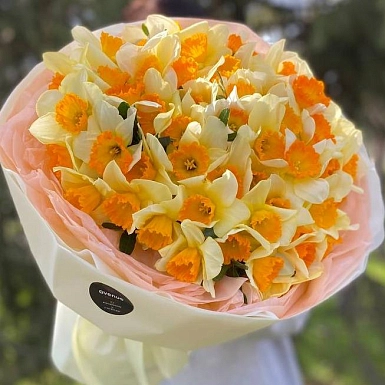 Букет из 51 нарцисса "Солнышко" - фото 4