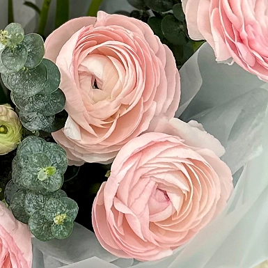 Букет из 7 ранункулюсов с зеленью "Розовая роскошь" - фото 5