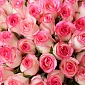 Букет из 101 нежно-розовой розы 50 см "Тянь-Шань" - фото 5