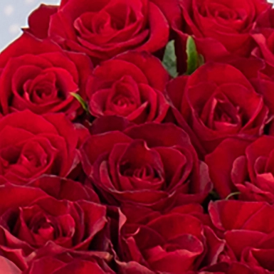 Голландские розы в стильных коробках в форме сердца S - фото 5