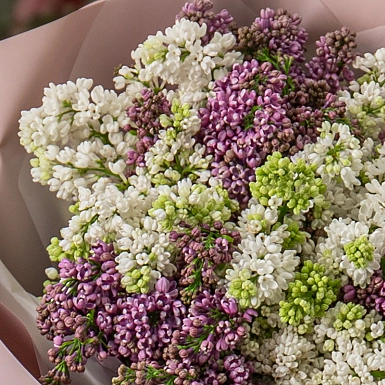 Букет из сирени "Асем" - фото 5